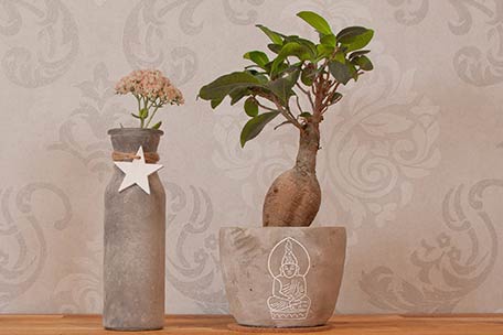 Osteopathie in der Schwangerschaft